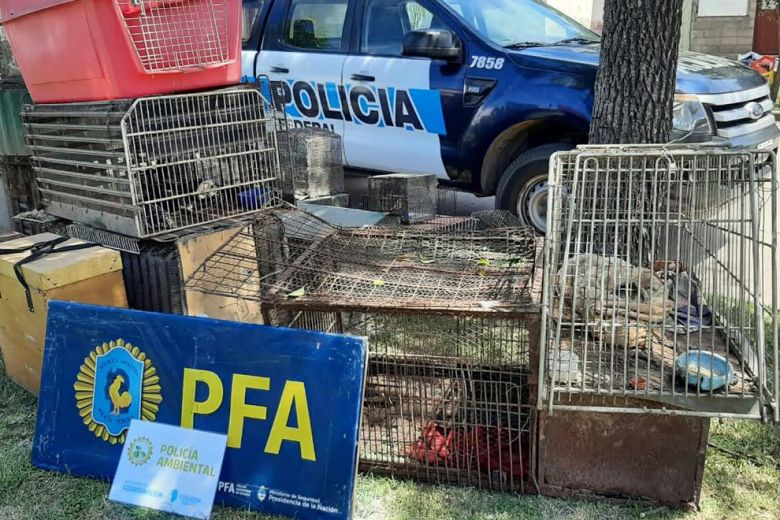 Policía Ambiental rescató 57 animales silvestres en La Carlota