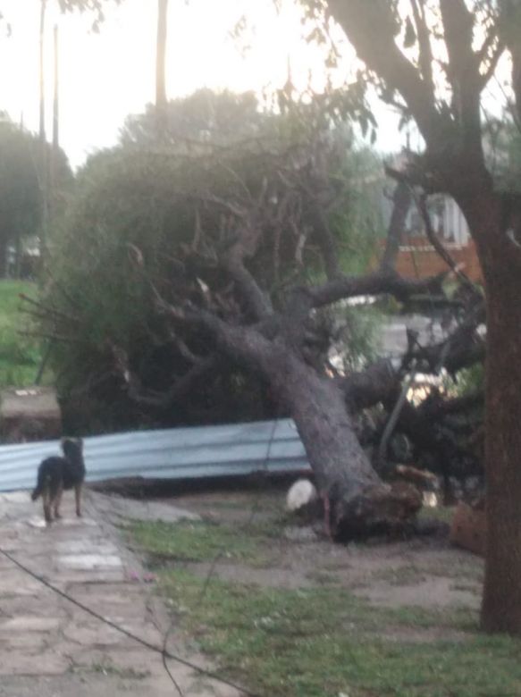 Destrozos y heridos tras una feroz tormenta en el sudeste provincial