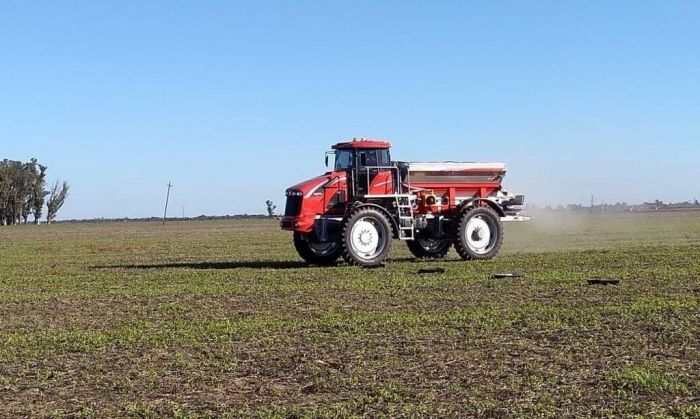 Encalado en maní: una solución para los suelos, protección para los cultivos y más rendimiento