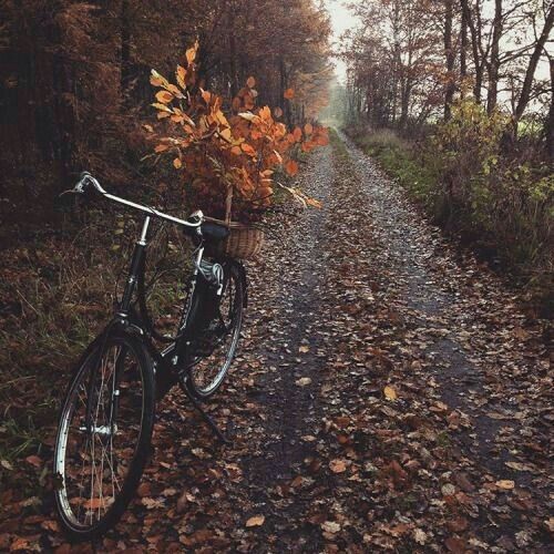 Otoño a pleno con cielo despejado y temperaturas cálidas 