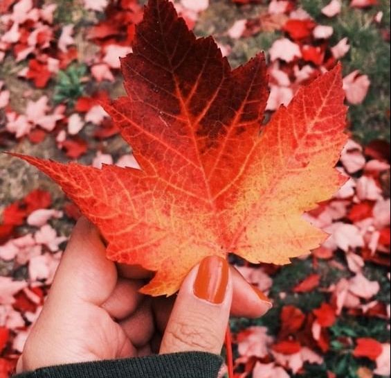 Junio continúa con temperaturas cálidas