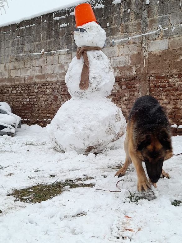 Después de 14 años nevó en Río Cuarto 