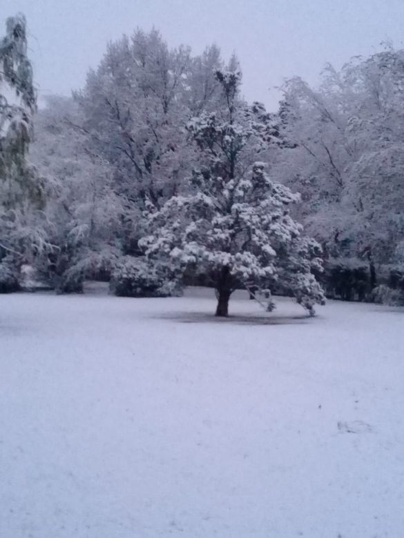 Después de 14 años nevó en Río Cuarto 