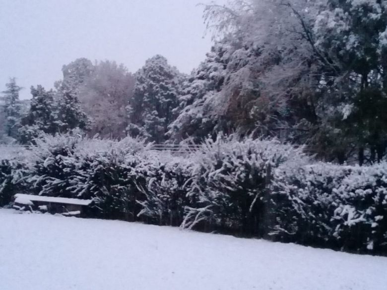 Después de 14 años nevó en Río Cuarto 