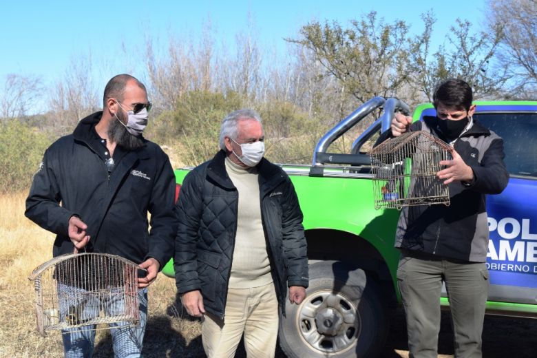 La Policía Ambiental liberó 18 aves silvestres en Río Cuarto