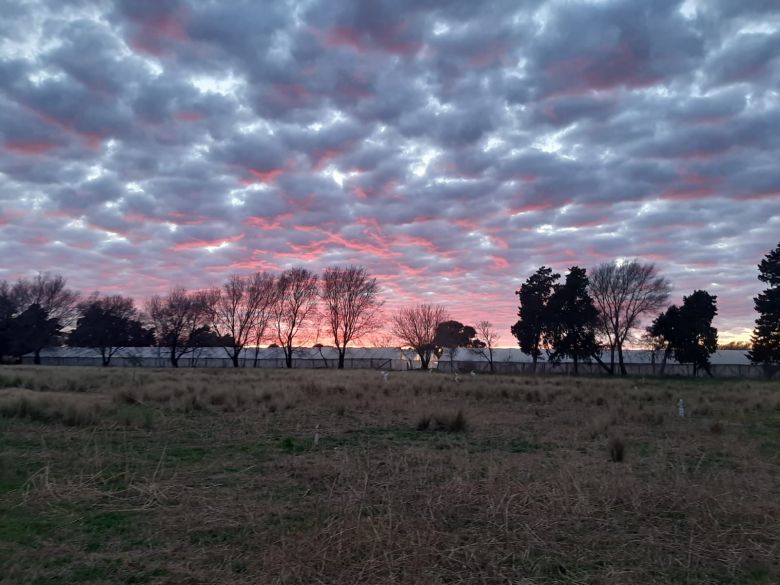 Alerta Violeta: advertencia por temperaturas bajo cero para Córdoba