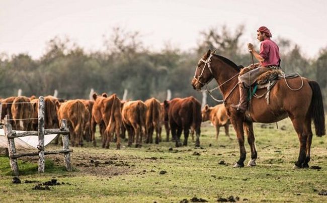 Acuerdan un aumento del 48% para peones de campo