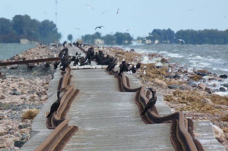 El jueves próximo se realizará un viaje de prueba sobre el pedraplén de la laguna La Picasa 