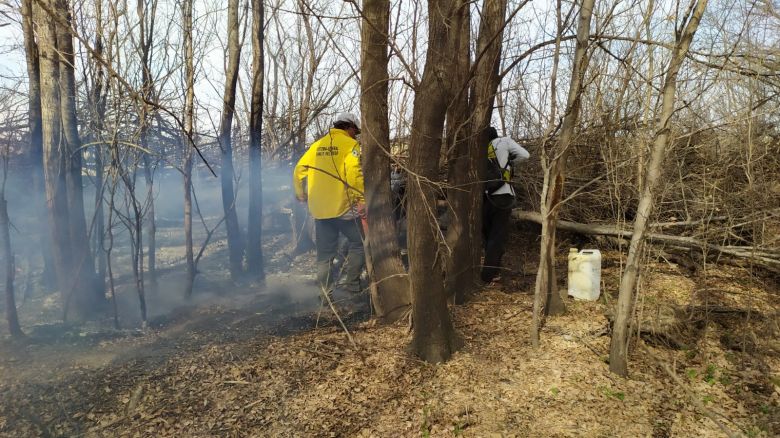 La brigada forestal Comechingones trabajó en fuego de banquinas