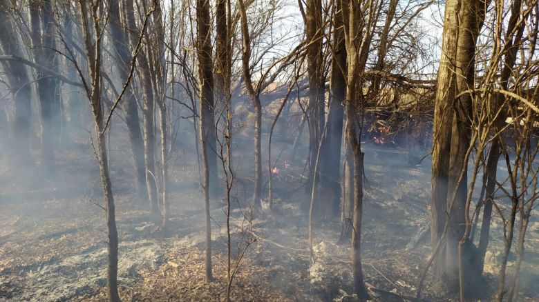 La brigada forestal Comechingones trabajó en fuego de banquinas