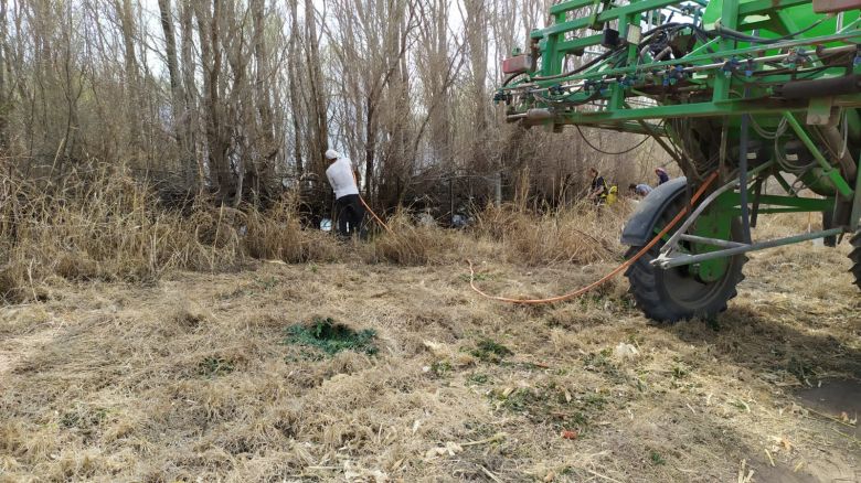 La brigada forestal Comechingones trabajó en fuego de banquinas