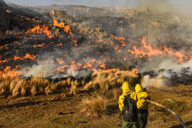 “Es muy difícil que se originen los incendios si no es por negligencia o de manera intencional”