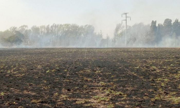 Hasta el atardecer del sábado los bomberos realizaron una docena de salidas en Río Cuarto