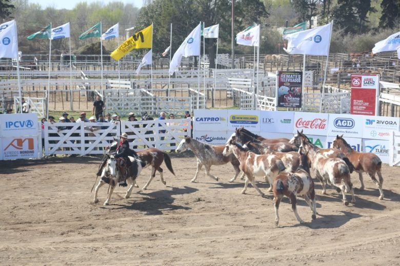 Comenzó la Expo Ganadera de la Sociedad Rural de Río Cuarto