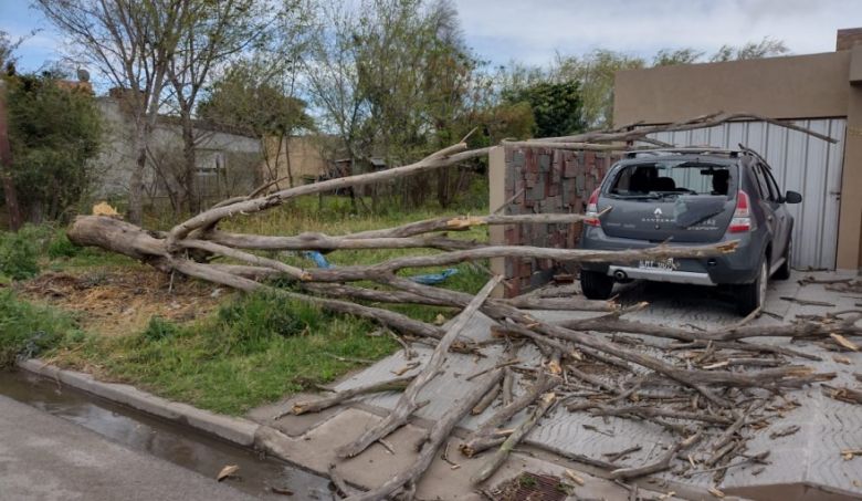 El viento provocó destrozos en las zonas de  Bell Ville y Villa María