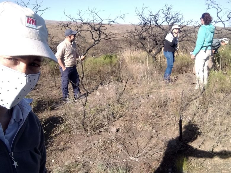 Vuelve a brotar la vegetación quemada por los incendios en Las Albahacas