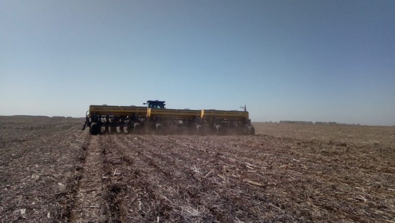 En el sur de Córdoba ya se siembra maíz y se preparan los lotes para soja y girasol