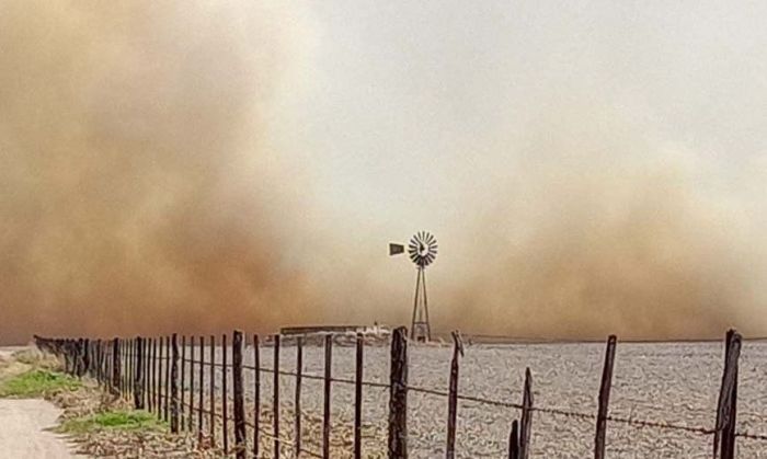 Varias dotaciones de bomberos de la región combaten un incendio rural al Este de Alcira Gigena