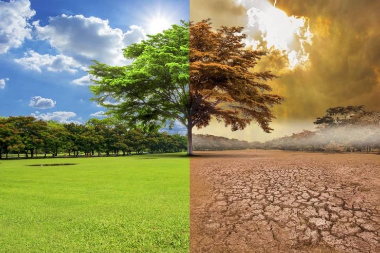 Federico Norte advirtió sobre el cambio climático y las consecuencias que tendrá en el verano