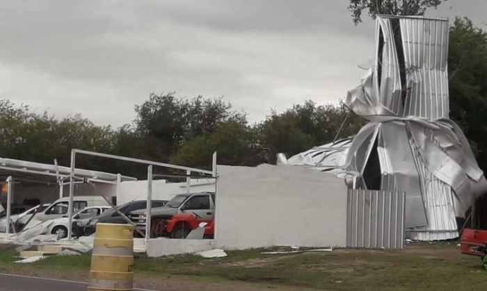 Caída de árboles y distintos daños materiales provocó la tormenta en Calamuchita