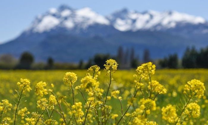 Tres pueblos argentinos son candidatos a los mejores del mundo