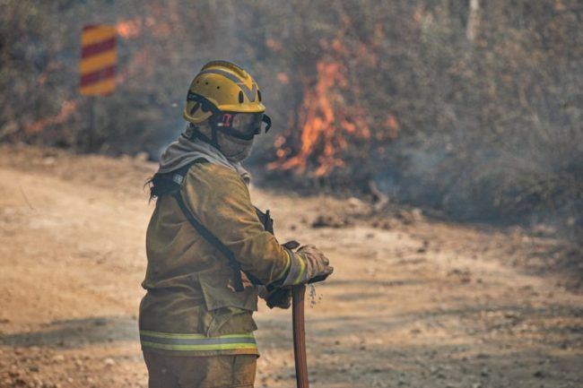 El Chacay: por quemar un nido de loros, casi se provoca un gran incendio en las sierras 