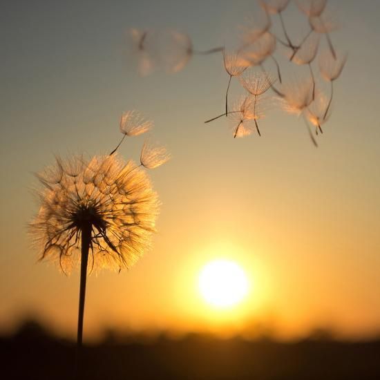 Martes con descenso de la temperatura y viento del sur