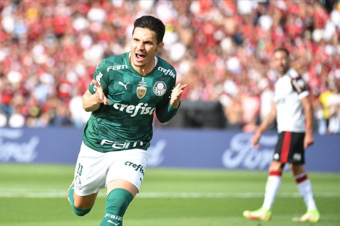 Palmeiras Rey de América