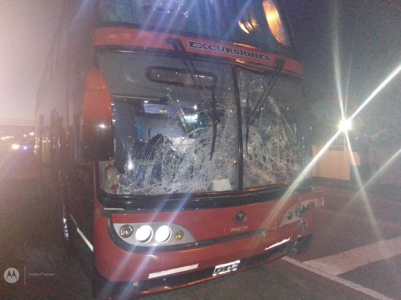 Grave accidente entre un colectivo y equinos en la ruta de la UNRC