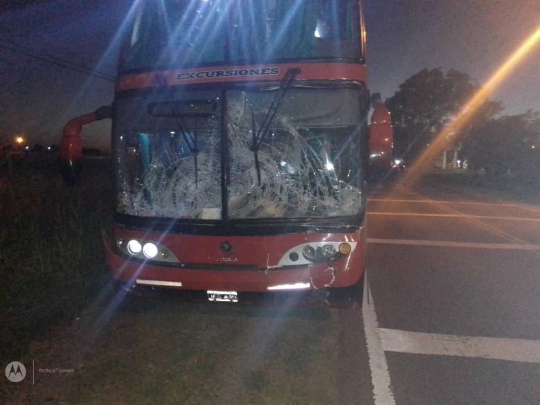 Grave accidente entre un colectivo y equinos en la ruta de la UNRC