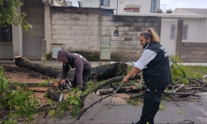 El viento provocó que un árbol se posara sobre la estructura de una vivienda en barrio Oncativo