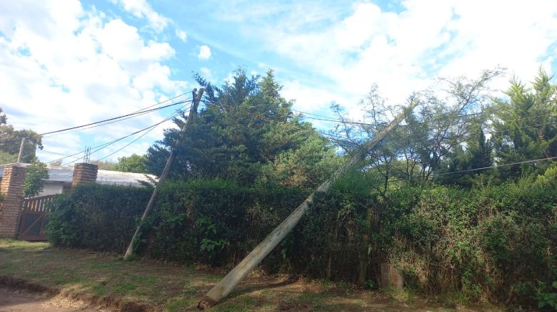 Nicolás Bruzzone: una tormenta en la madrugada causó importantes destrozos