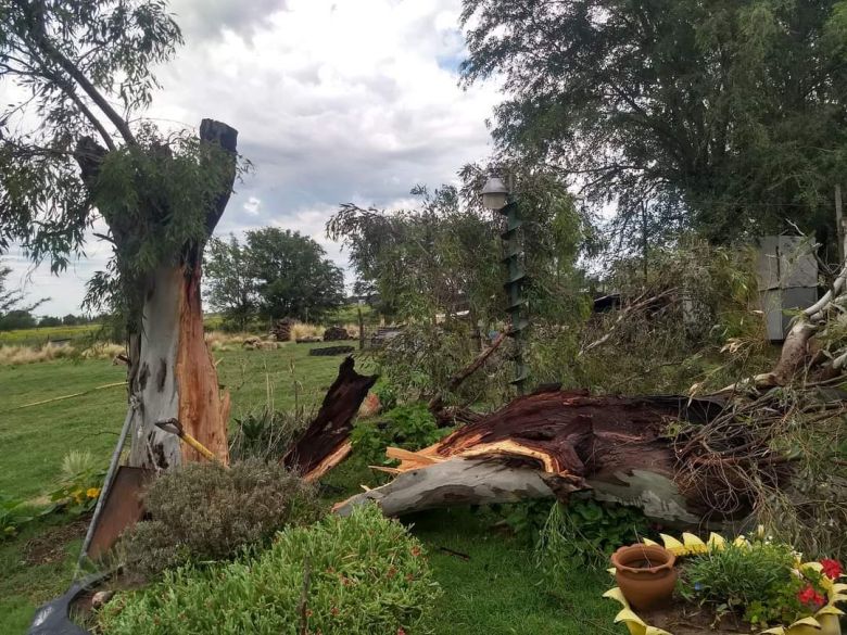 Nicolás Bruzzone: una tormenta en la madrugada causó importantes destrozos