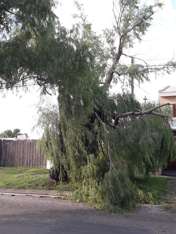 Río Cuarto y la región afectadas por las graves consecuencias del paso de la tormenta de viento y agua