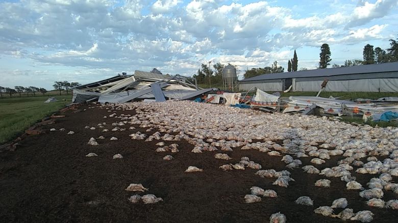 Río Cuarto y la región afectadas por las graves consecuencias del paso de la tormenta de viento y agua