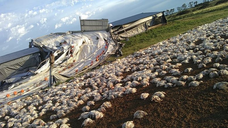 Río Cuarto y la región afectadas por las graves consecuencias del paso de la tormenta de viento y agua