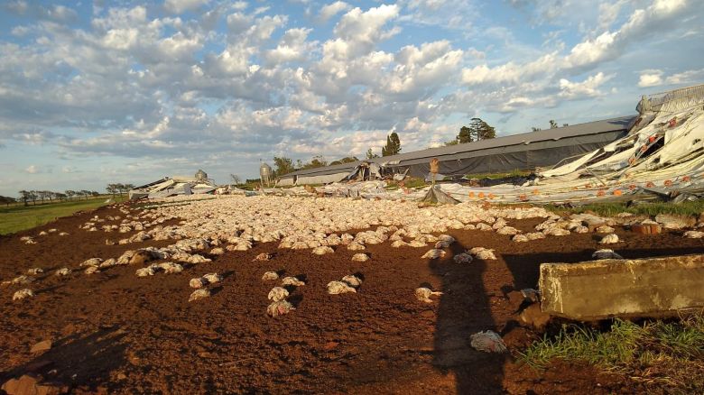 Río Cuarto y la región afectadas por las graves consecuencias del paso de la tormenta de viento y agua