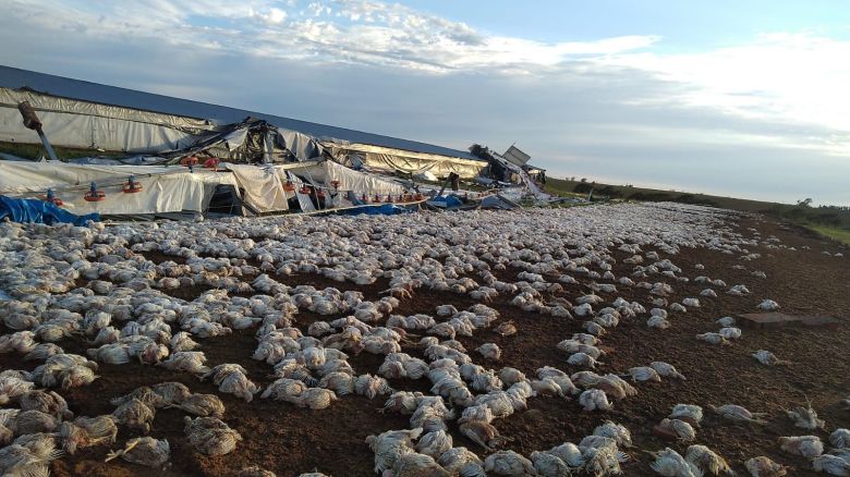 Río Cuarto y la región afectadas por las graves consecuencias del paso de la tormenta de viento y agua