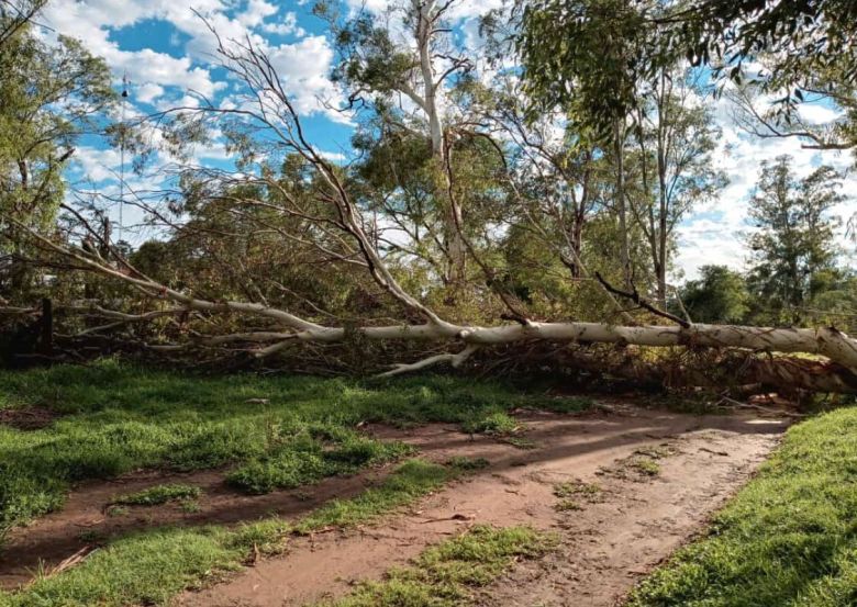 Río Cuarto y la región afectadas por las graves consecuencias del paso de la tormenta de viento y agua