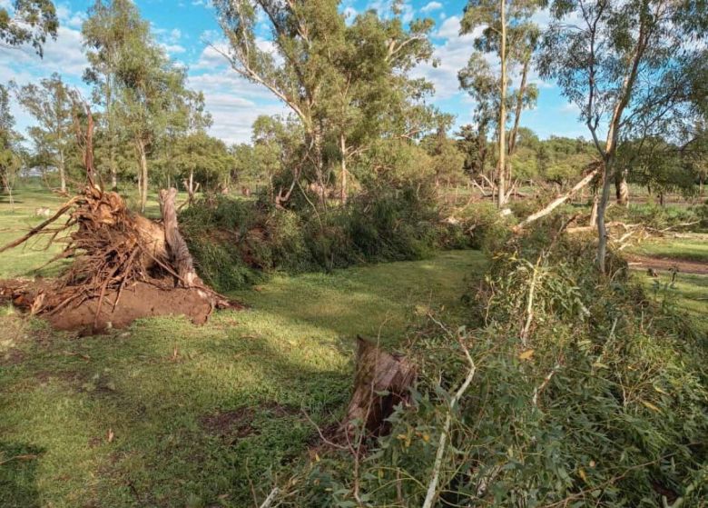 Río Cuarto y la región afectadas por las graves consecuencias del paso de la tormenta de viento y agua