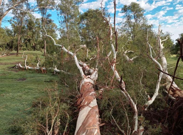 Río Cuarto y la región afectadas por las graves consecuencias del paso de la tormenta de viento y agua