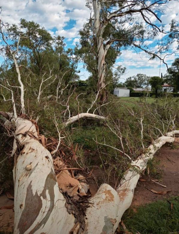 Río Cuarto y la región afectadas por las graves consecuencias del paso de la tormenta de viento y agua