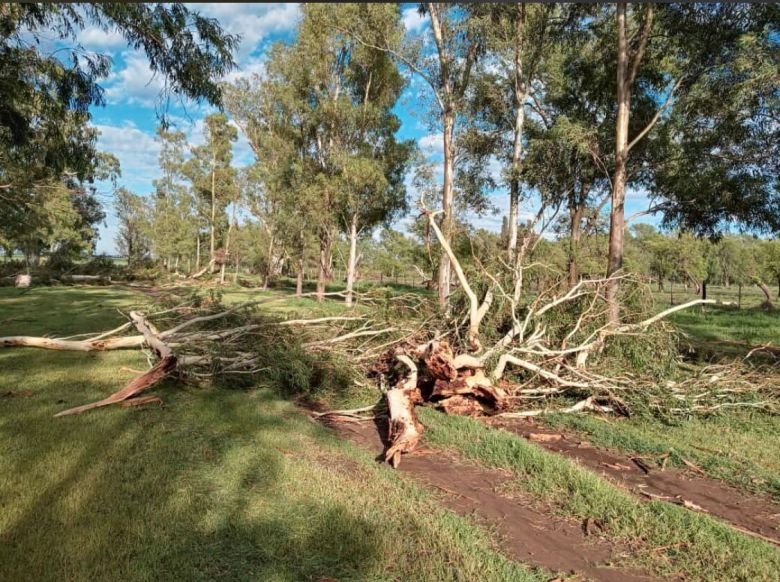 Río Cuarto y la región afectadas por las graves consecuencias del paso de la tormenta de viento y agua