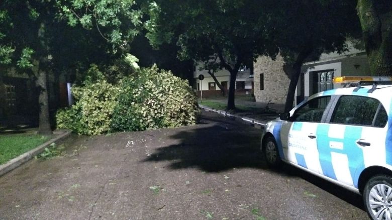 El Municipio junto a distintas entidades actúan sobre los sectores afectados por la tormenta 