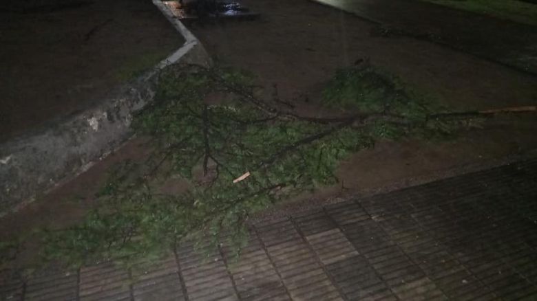 Sampacho sufrió voladuras de techos y caída de árboles a causa de la tormenta 