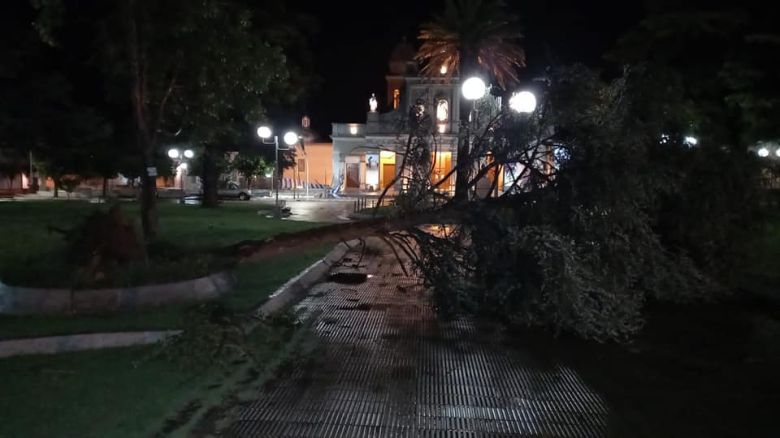 Sampacho sufrió voladuras de techos y caída de árboles a causa de la tormenta 