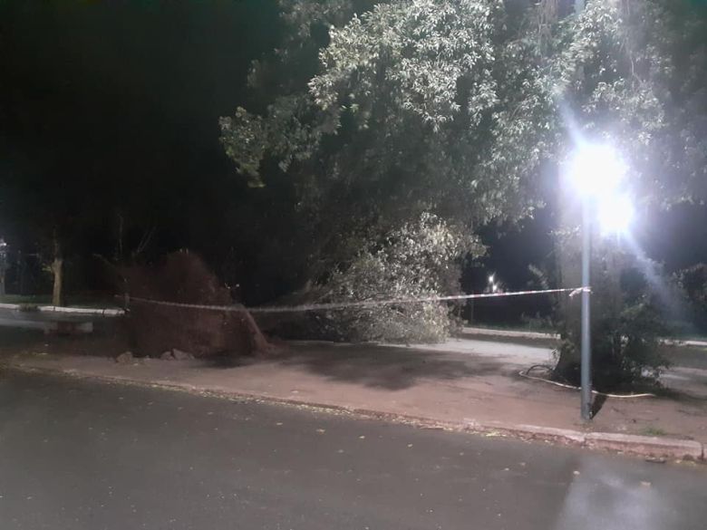 Sampacho sufrió voladuras de techos y caída de árboles a causa de la tormenta 