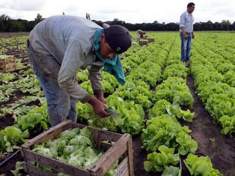 Trabajadores rurales no recibirán bono de fin de año