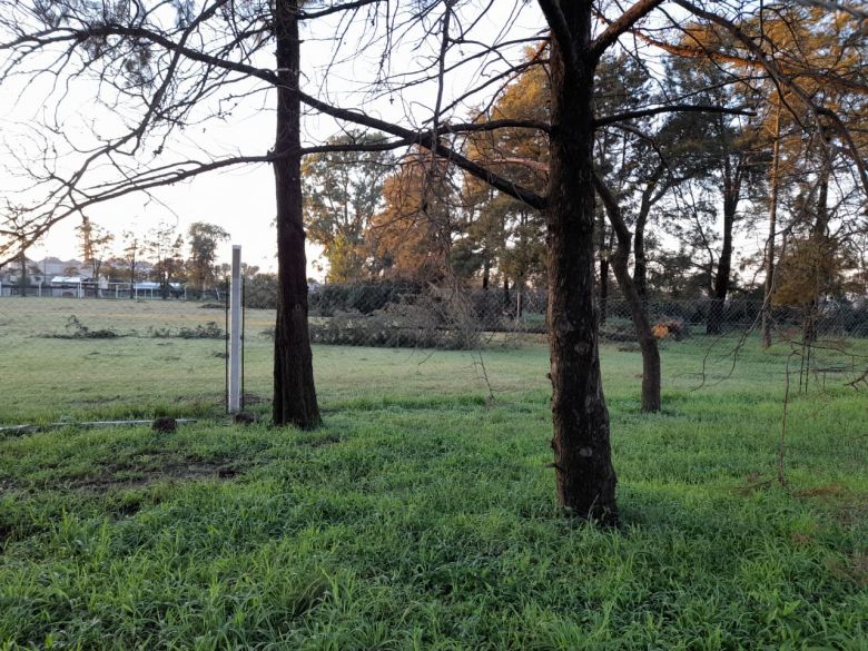 Grave tormenta con tornado en Monte de los Gauchos