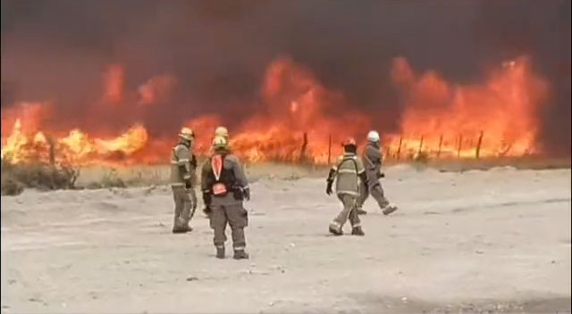 Incendios en Puerto Madryn: hay 77.000 hectáreas quemadas y el fuego se acerca a la península Valdés